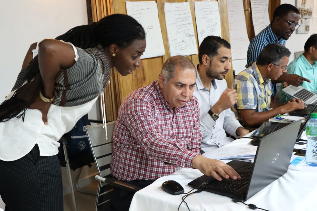 Dolapo Enahoro (ILRI) with participants from Egypt.